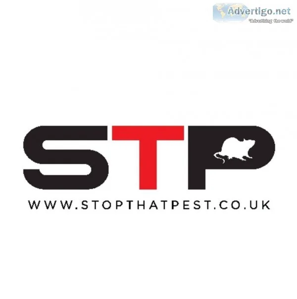 Commercial Bird Control in Birmingham - STP Pest Control