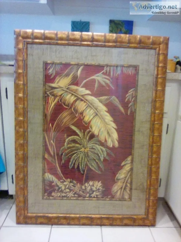 Tropical pictures