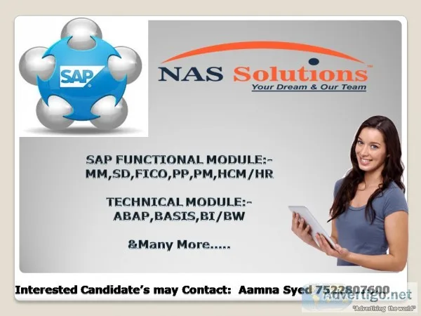 SAP TRAINING WITH EXPERTS AT NAS TRAINING