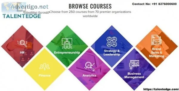 Human Resources Courses Online