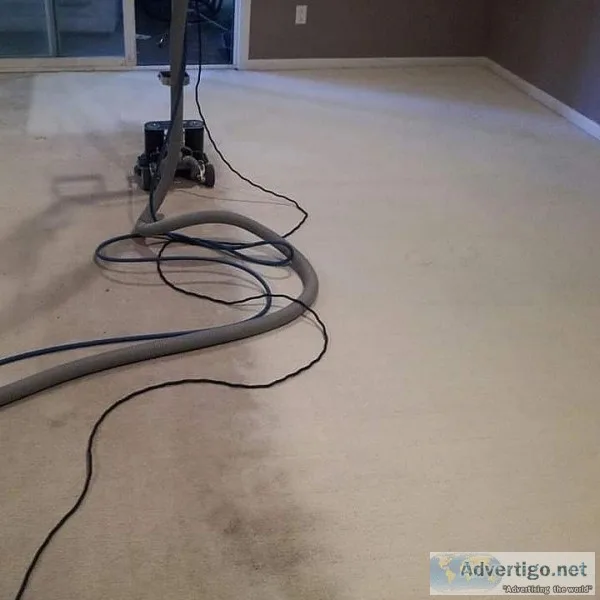 Carpet and upholstery cleaning