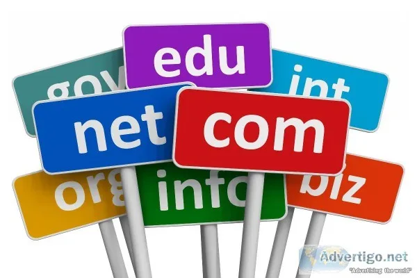 DOMAIN NAME