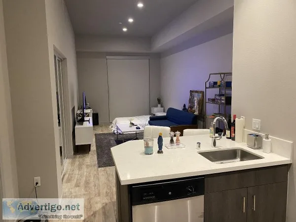 Free apartment for female