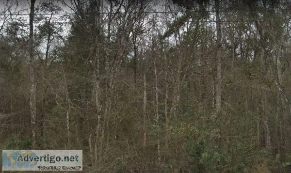 0.32 Acres for Sale in Middleburg FL