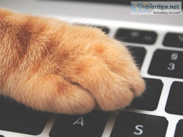 Veterinary Care Online Services-Assuredpetl lc