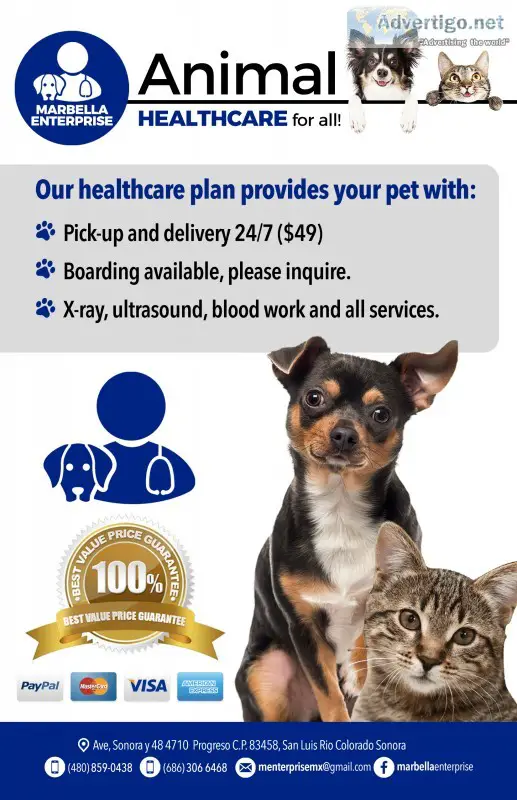 Animal health insurance