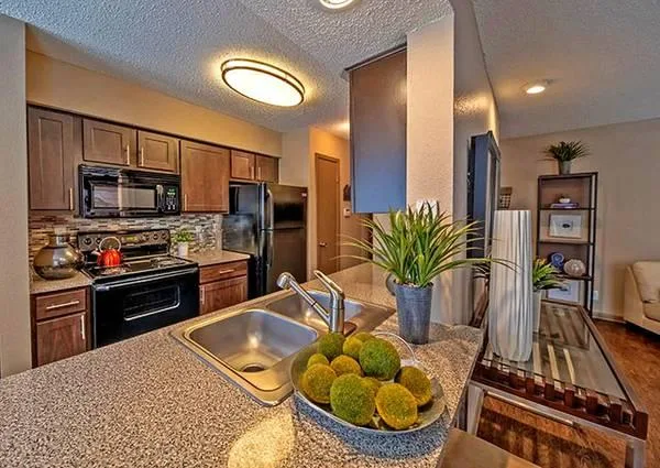 1br - MODERN FULLY EQUIPPED 1 BDR IN GREAT NEIGHBORHOOD (Irving)