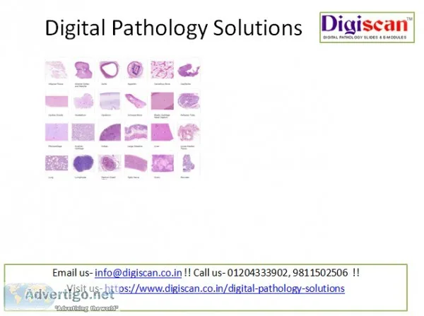 Interested in the Best Digital pathology solutions online in Del