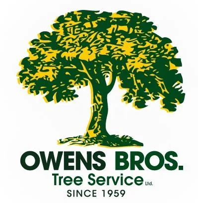 NYC Local Tree Company