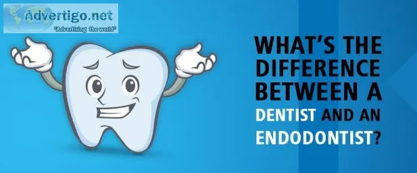 What&rsquos the difference between a Dentist and an Endodontist