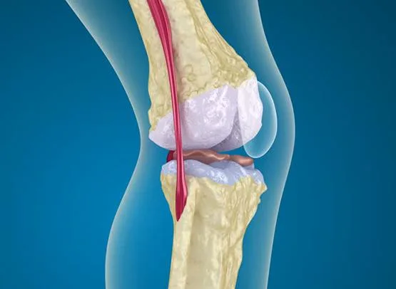 Knee Pain Ayurvedic Oil - Opigesic pain oil