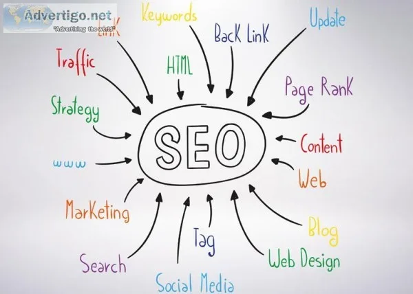 SEO services in Rohini  Klifftechnologies