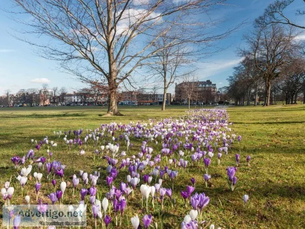 Holiday lets harrogate