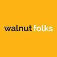 Social Media Marketing Agency In Mumbai - Walnut Folks