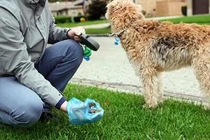 Pet Waste Disposal in Stone Mountain Services  Tri-Hunter Refuse