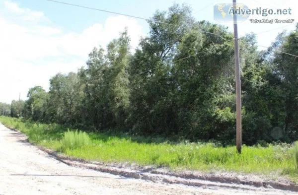 1.2 Acres for Sale in Keystone Heights FL