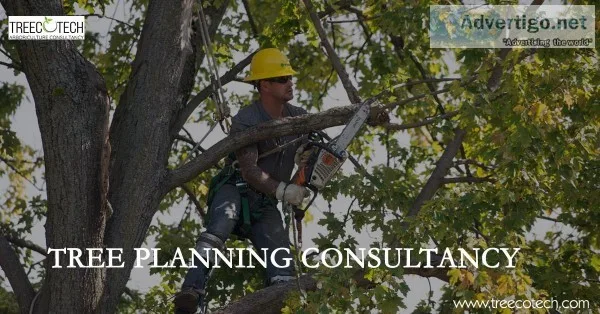 Tree Planning Consultancy Services in India