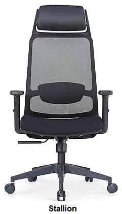 EXECUTIVE CHAIRS FOR SENIOR MANAGEMENT