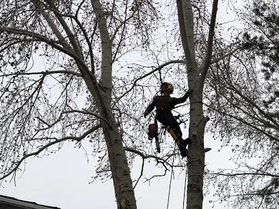 Finding for the services of Tree Pruning in South Cooking Lake