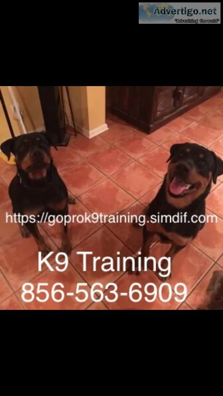 Complete canine off the leash training