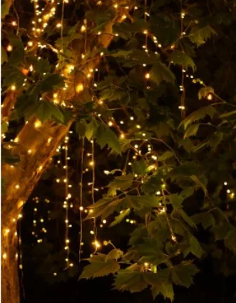 Outdoor Hire Fairy Lights for Wedding in Melbourne