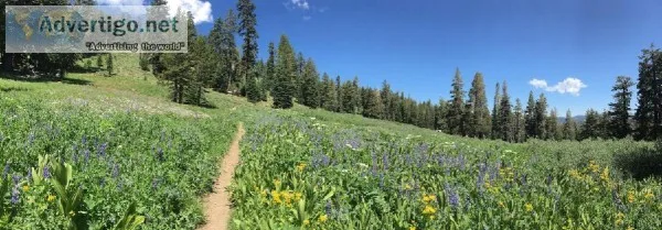 Mountain Biking Lake Tahoe For Adventure Lovers