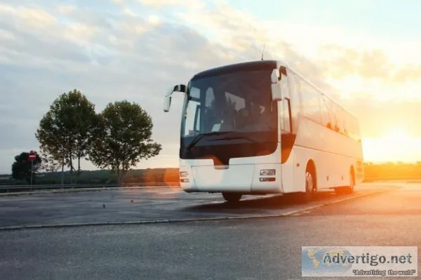 Morning Star Travels  Morning Star Travels Bus Booking