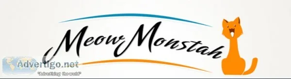 Freelance Graphic Designer
