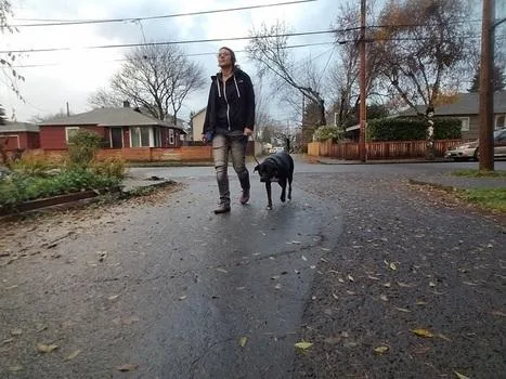 Off Leash Dog Training Portland  BalancedPackK9Traini ng