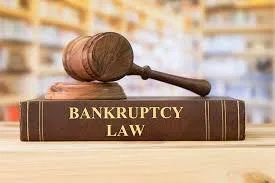 Chapter 7 Bankruptcy Lawyer Pleasant Ridge