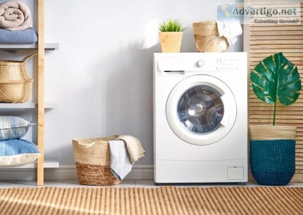 Looking for Professional Consultant for Laundry Business Plan