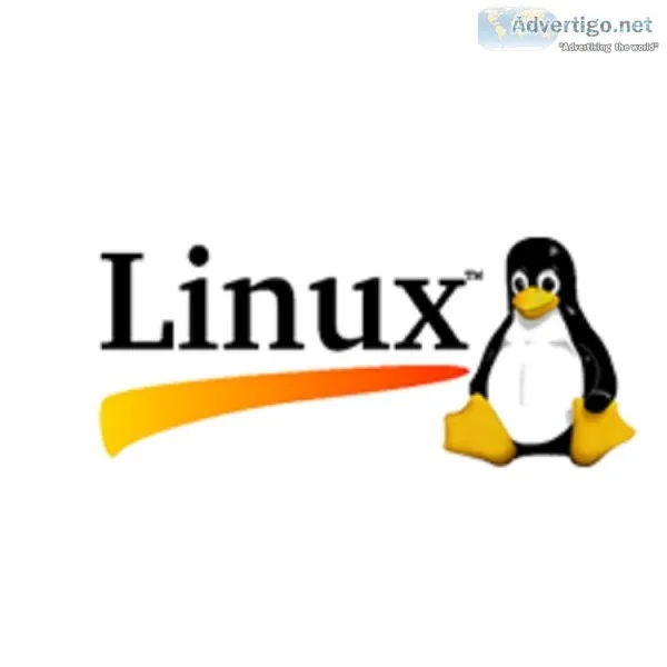 Linux Server Hosting Services with 7 Days FREE Trial by i2k2 Net