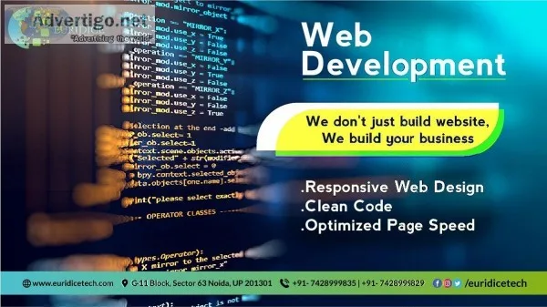 We provide Web Development Services at affordable price.