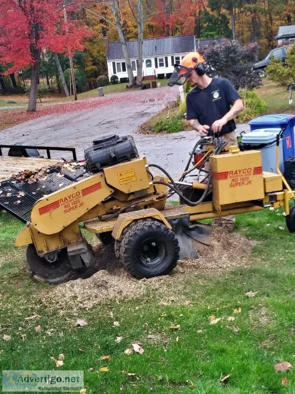 Stump Grinding