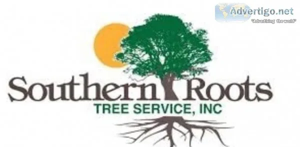 SOUTHERN ROOTS LANDSCAPE