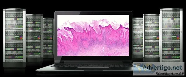 Slide scanning services