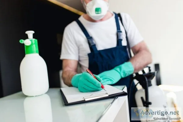 Pest Control in Gurgaon
