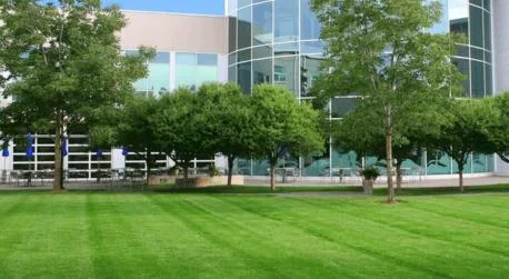 Landscape Design Services in California
