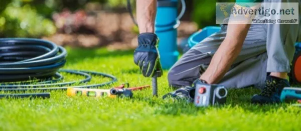 Planning to maintain your beautiful garden professionally