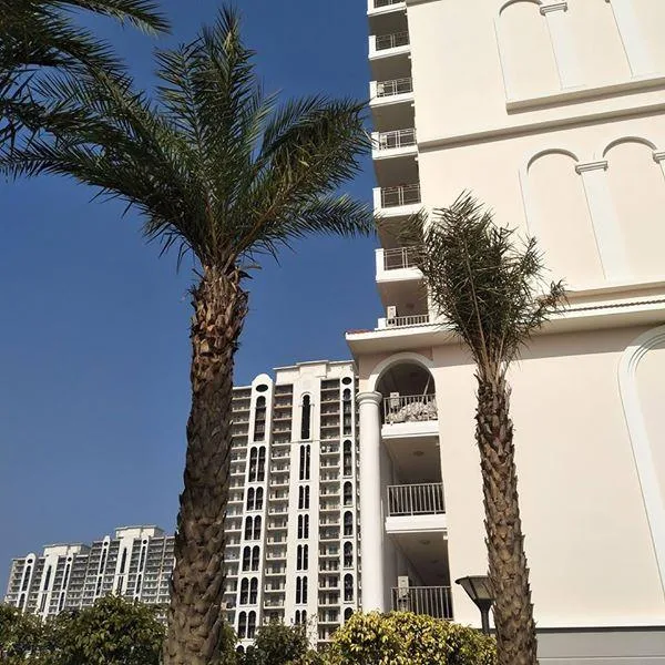 DLF  Skycourt &ndash Ready to move 3BHK in Gurgaon