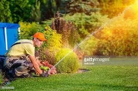 Pavels landscaping Houston
