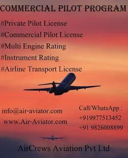 Commercial Pilot Programme