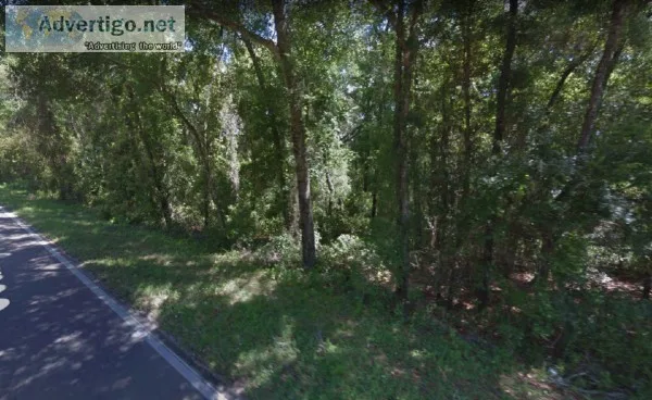 0.2 Acres for Sale in Interlachen FL