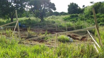 LAND FOR SALE NEAR LOVER S LEAP