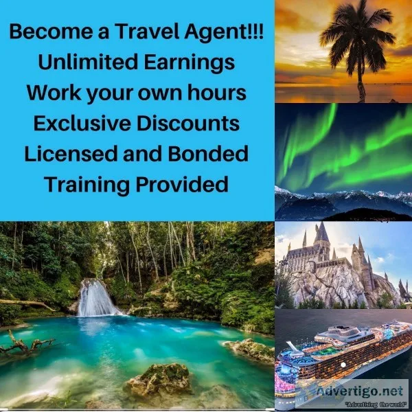 Travel Coordinator
