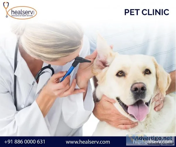 Find the Best Pet Clinic in Vivek Vihar