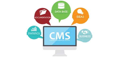 CMS IT Services
