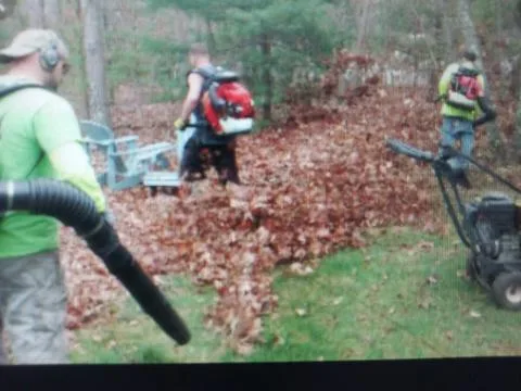 Affordable Lawn and Tree Service