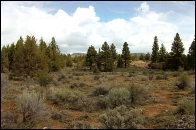 Oregon Property in Klamath County (Beatty)