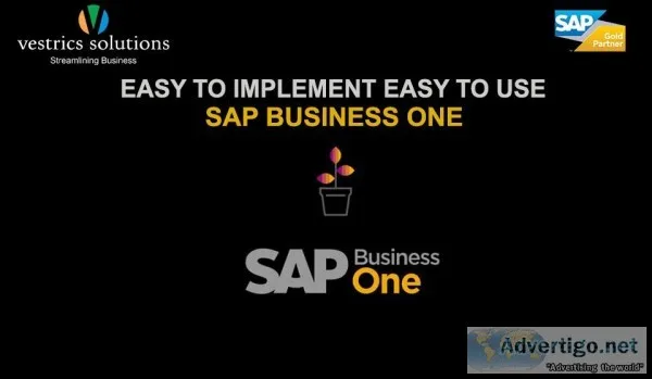 Top SAP Business One Partner in India